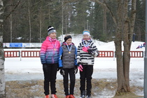 N12-sarjan kultamitalistit